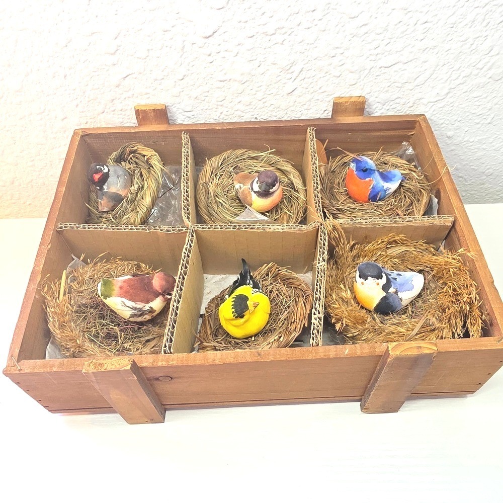 VTG authentic Thomas Pacconi Classics Bird Nest Collection Wooden Box 6 Figurine